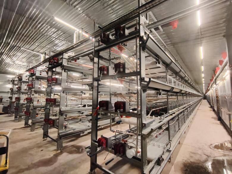 东至县智慧养鸡擦亮皖南土鸡特色名片