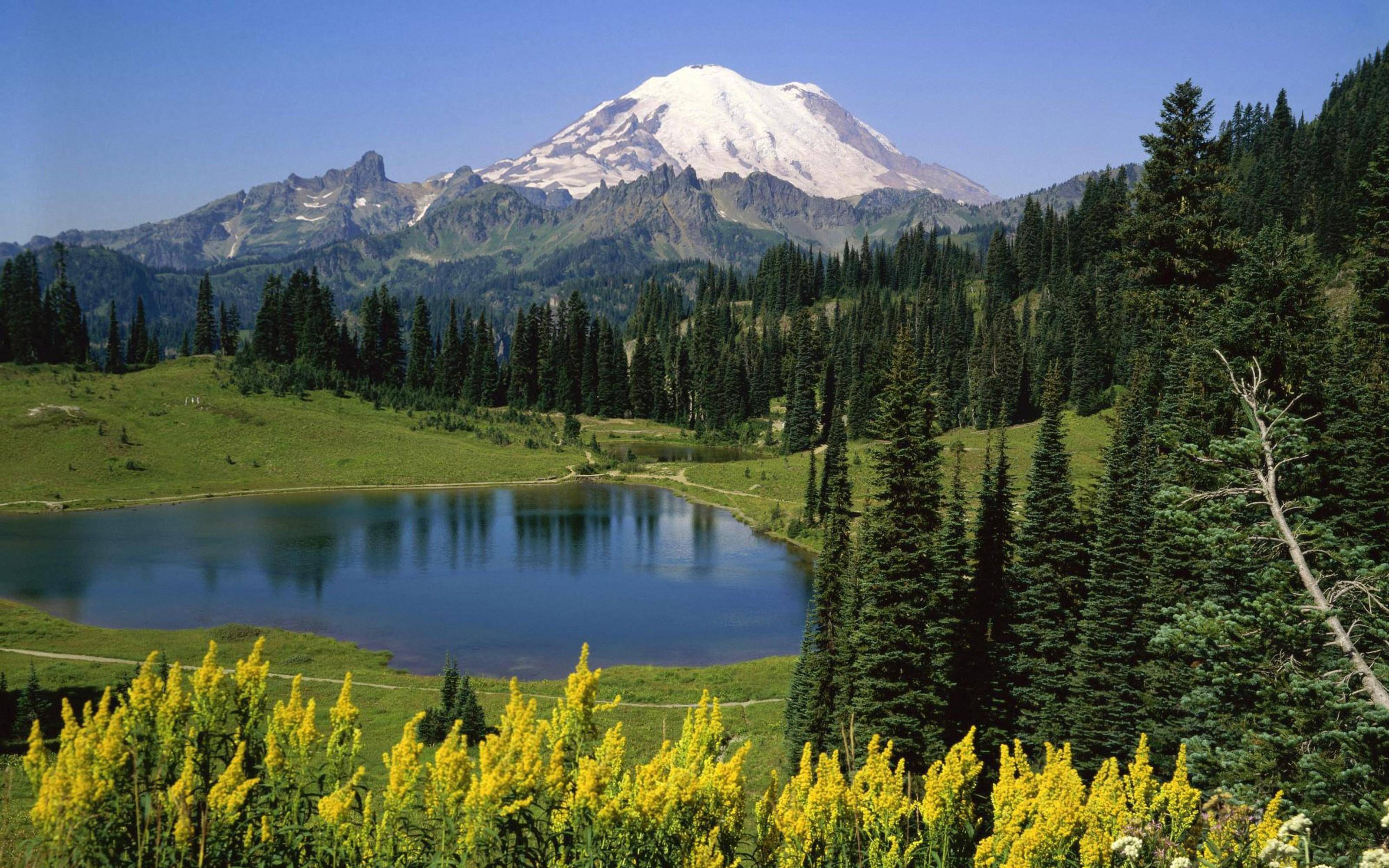 男人对你交心的表现就两个字