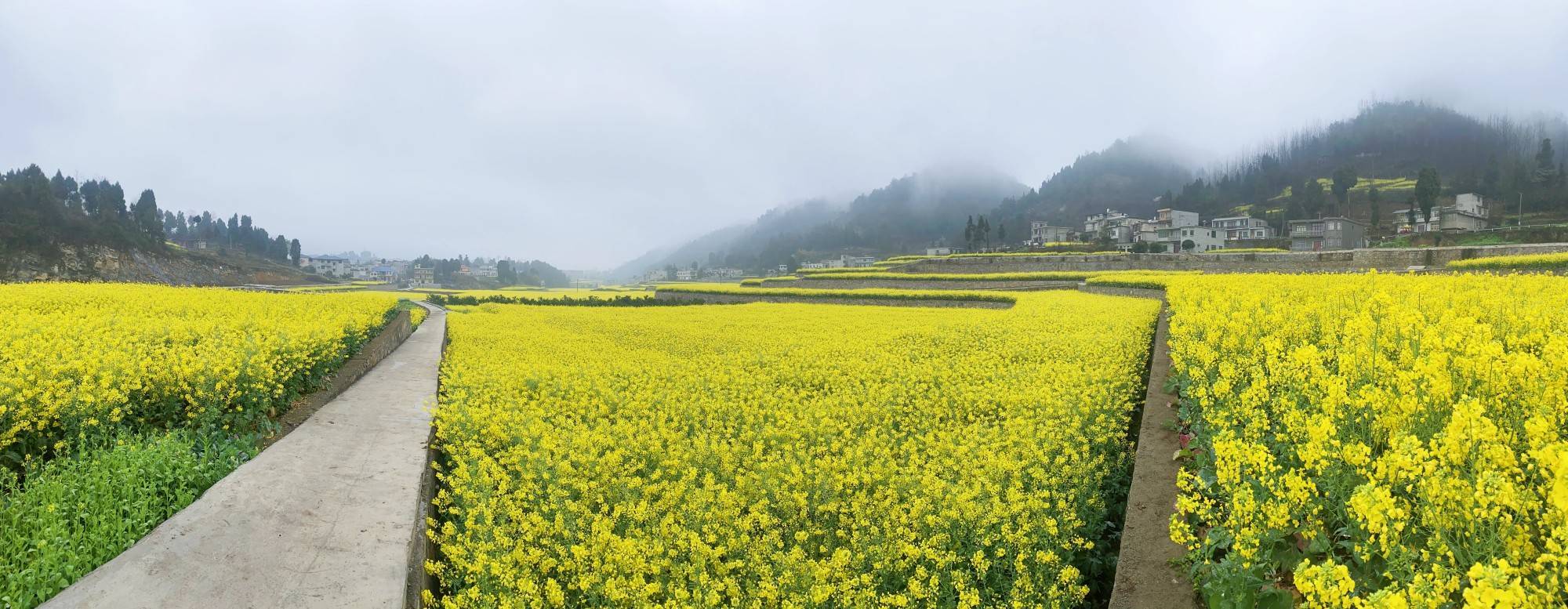 贵州金沙:高标准农田建设助力乡村振兴_茶园镇_沙县_社区