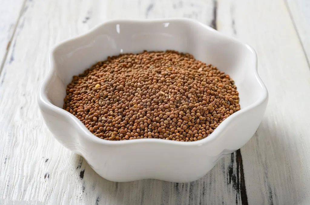 治疗肾虚带下,比如《女科切要》中的内补丸,与鹿茸,沙苑子等一起使用.