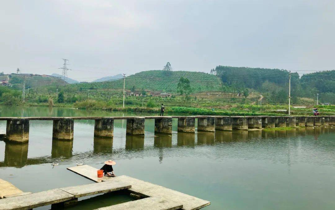 一日"忻" | "春分",这是最公平的一天_忻城县_扶桑_鸭子