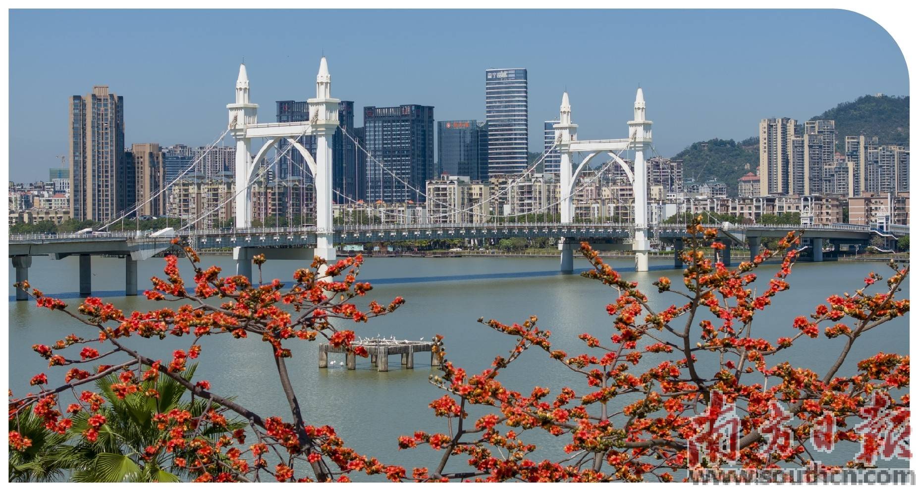 香洲厚植生态底色激发绿色动能