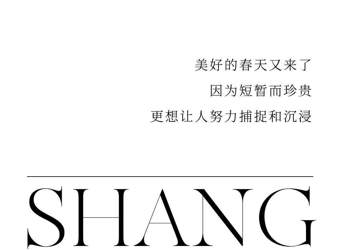 上海好玩指南春天版