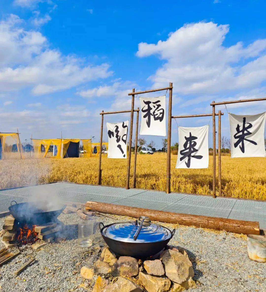 约一场野米饭!共享美好"食"光!_于乡村_生活_嘉兴