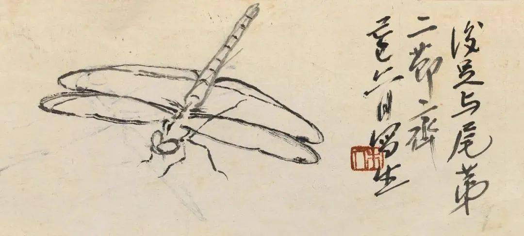 齐白石笔下的蜻蜓天趣横生