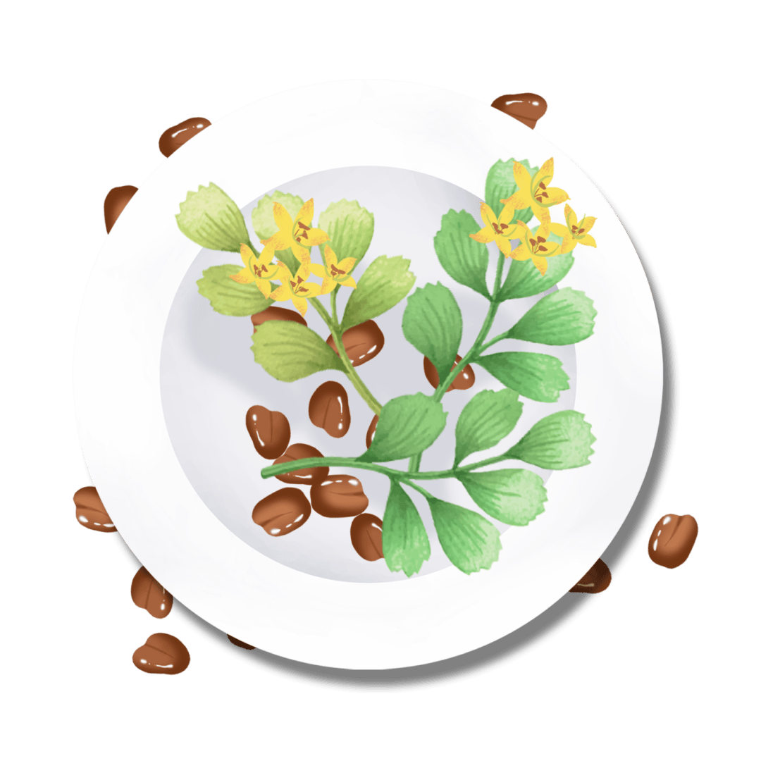 药食同源春天的黄金搭档决明子