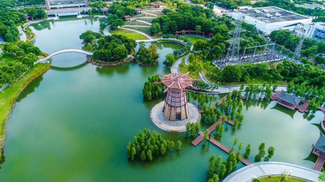 来桂城过春天50公里徒步南海线这样玩攻略