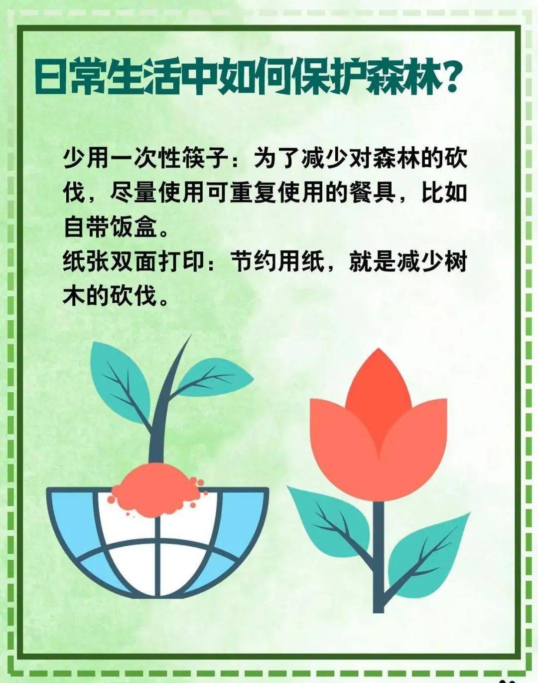 世界森林日丨关于森林防火这些常识你要知道