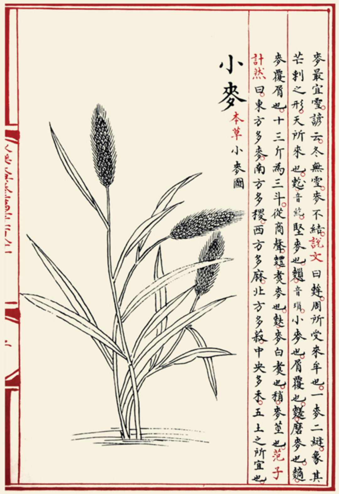 历劫重光大典永乐讲述永乐大典前世今生的传奇