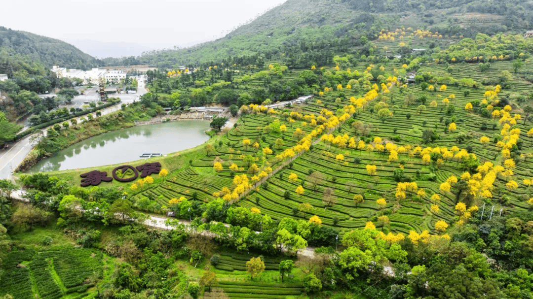 象窝山溪流图片