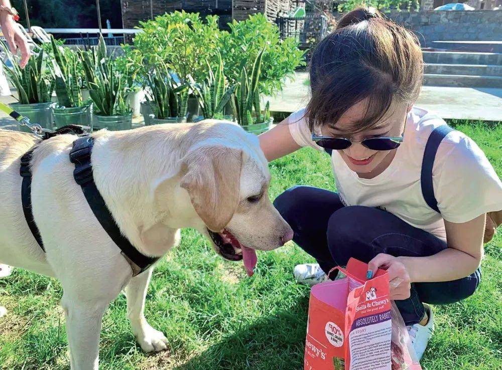 宠托师很火爆,然而……_李菡_服务_兼职