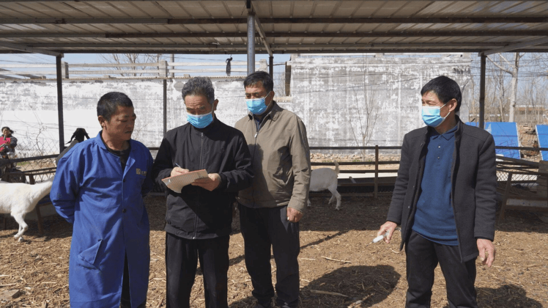 单县张集镇:打好春季畜牧"防疫战" 筑牢畜牧防疫"安全网"