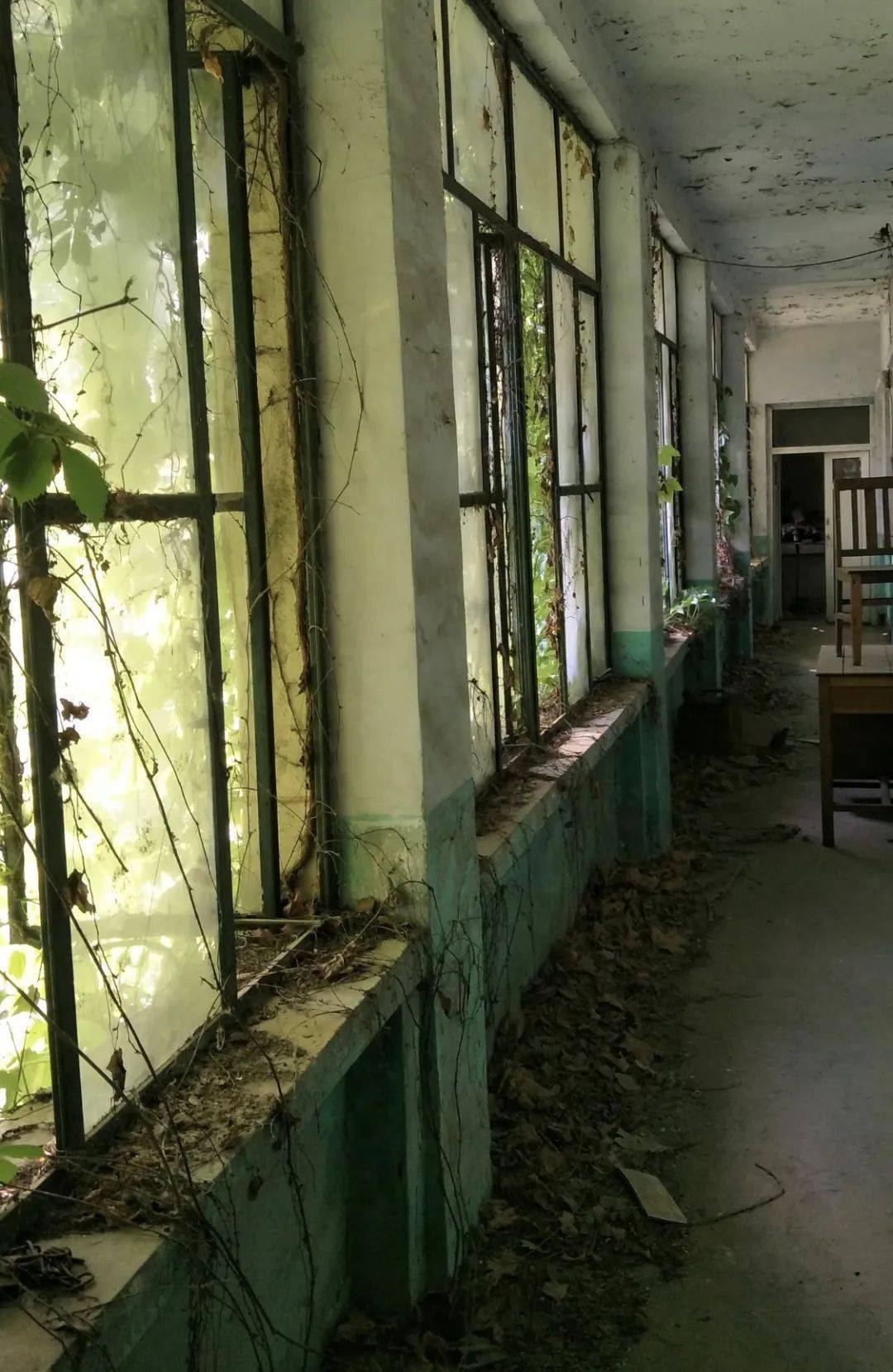 中式梦核火了这款10年前的卡牌桌游竟然决定复刻