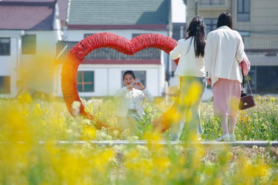 五彩花海,文化古迹……春日亭林,好玩到不想回家!_活动_菜花_公园
