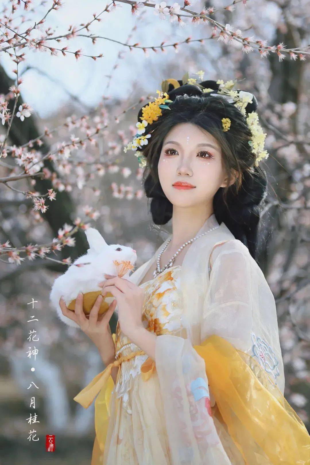 明天开幕!_花神_part_spring