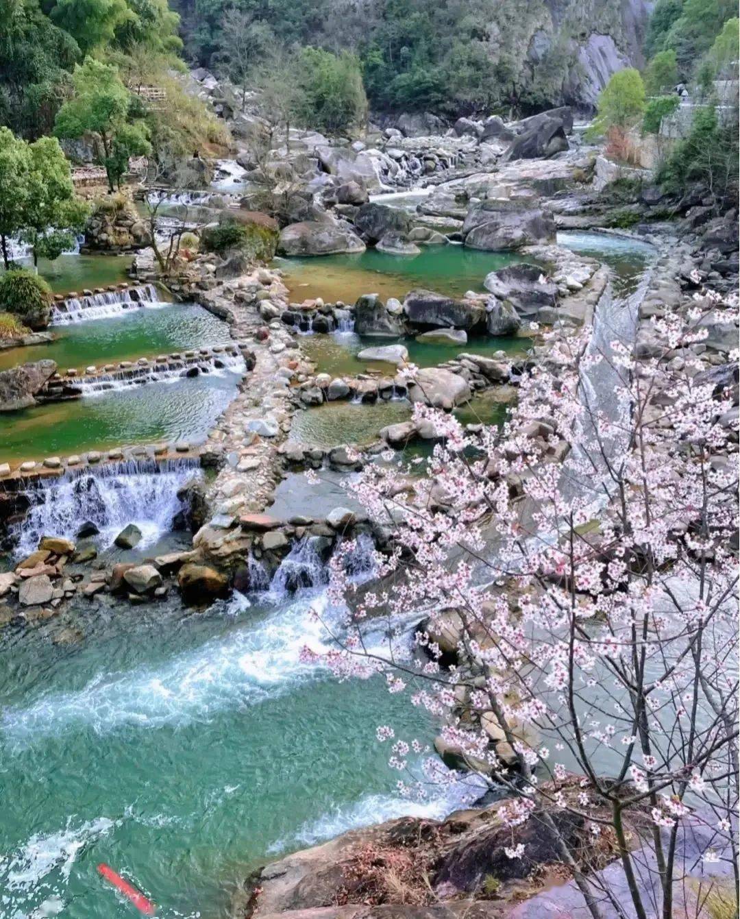 婺源篁岭的地势得天独厚,每年二月底,山下平原花海