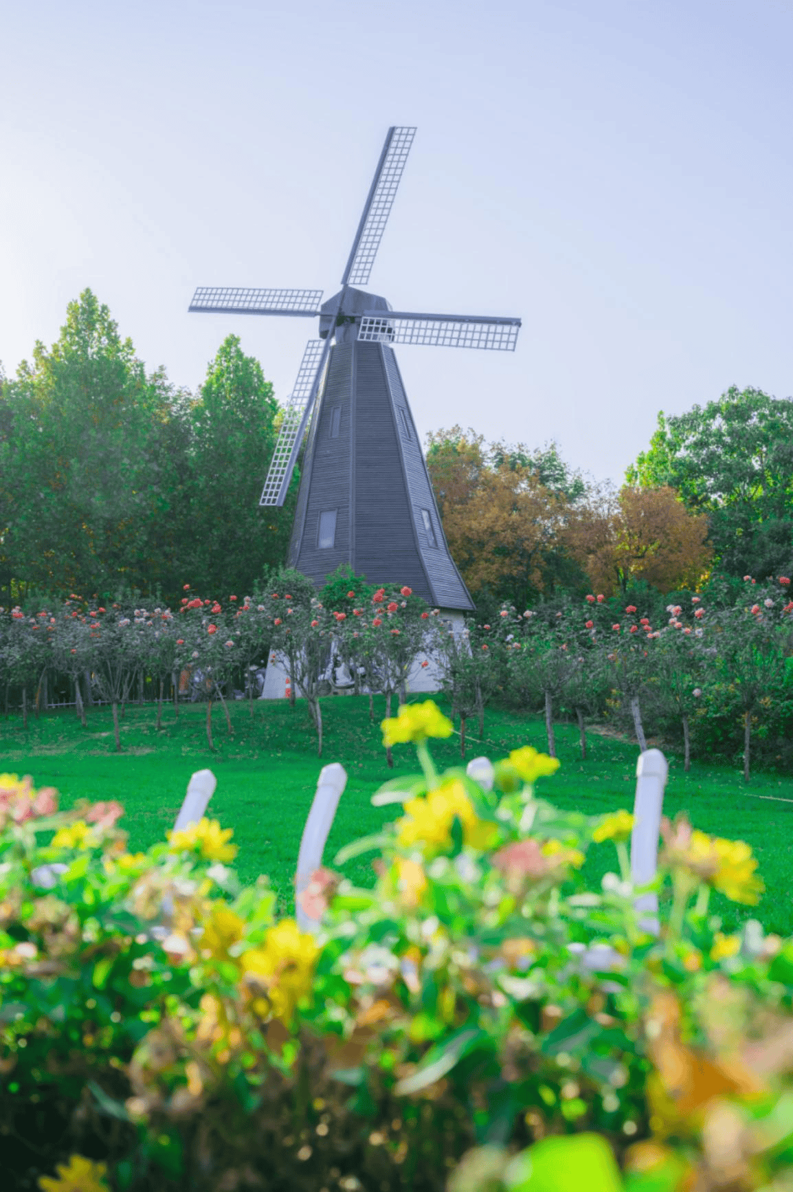 开往春天的列车即将到站,这份踏青赏花攻略请收好_人民公园_樱花_郑州