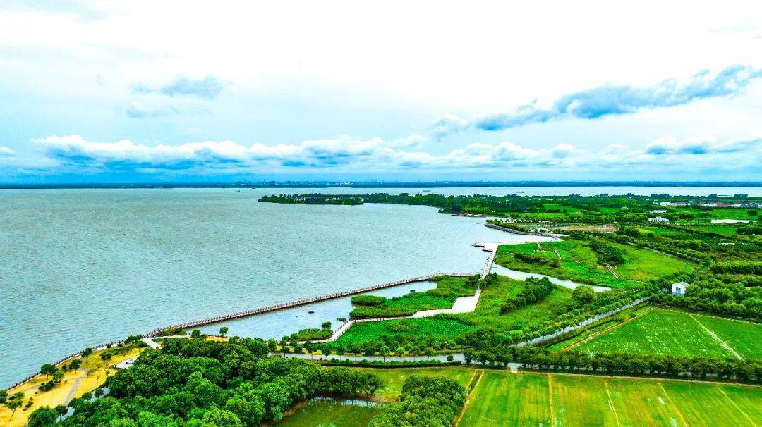 世界水日中国水周丨云赏青浦美丽河湖共赴水之约