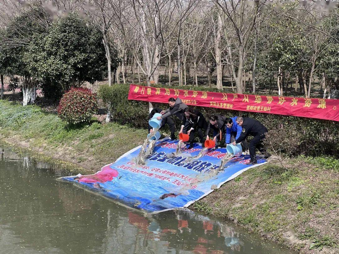 夏阳街道以水为媒绘制幸福生活