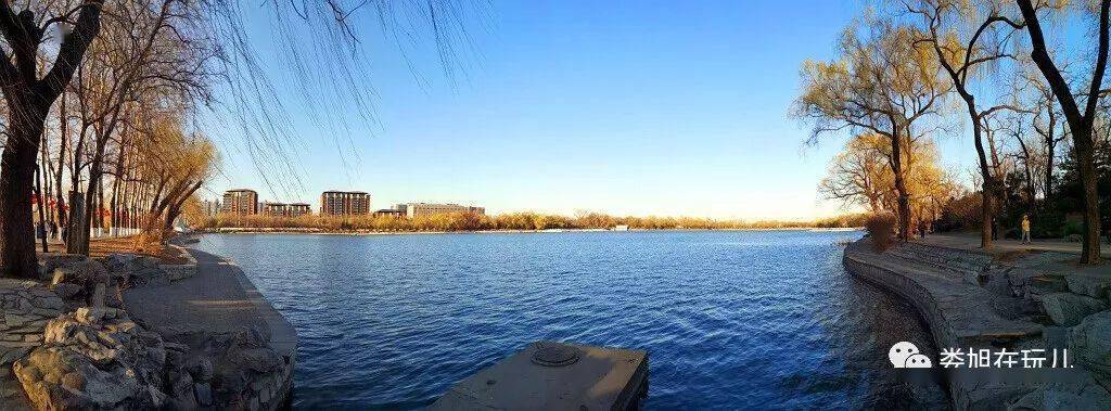 初春 玉渊潭_公园_湖泊_湖区