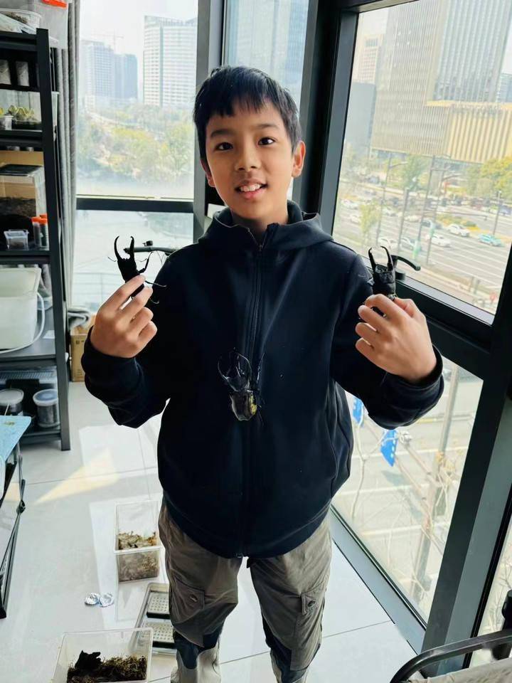 上过央视的他得到"虫圈大佬"很多偏爱_叶夏安_昆虫_叶军