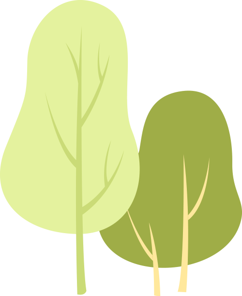 油菜花_活动_陈桥