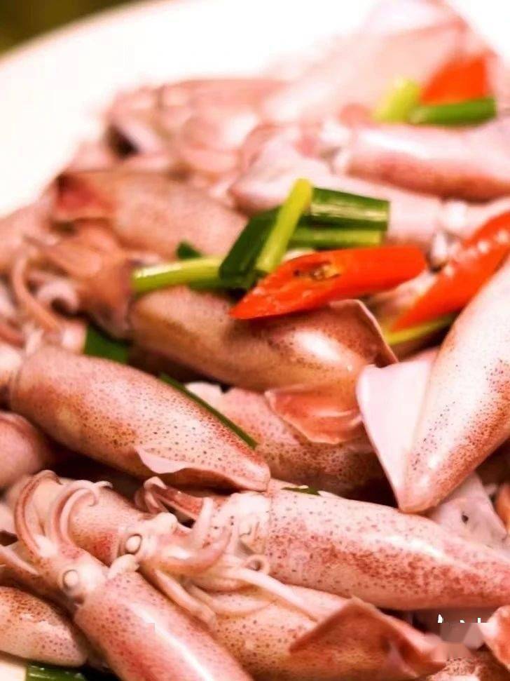 春夏游南澳,又添省级线路_鱿鱼_旅游_环岛