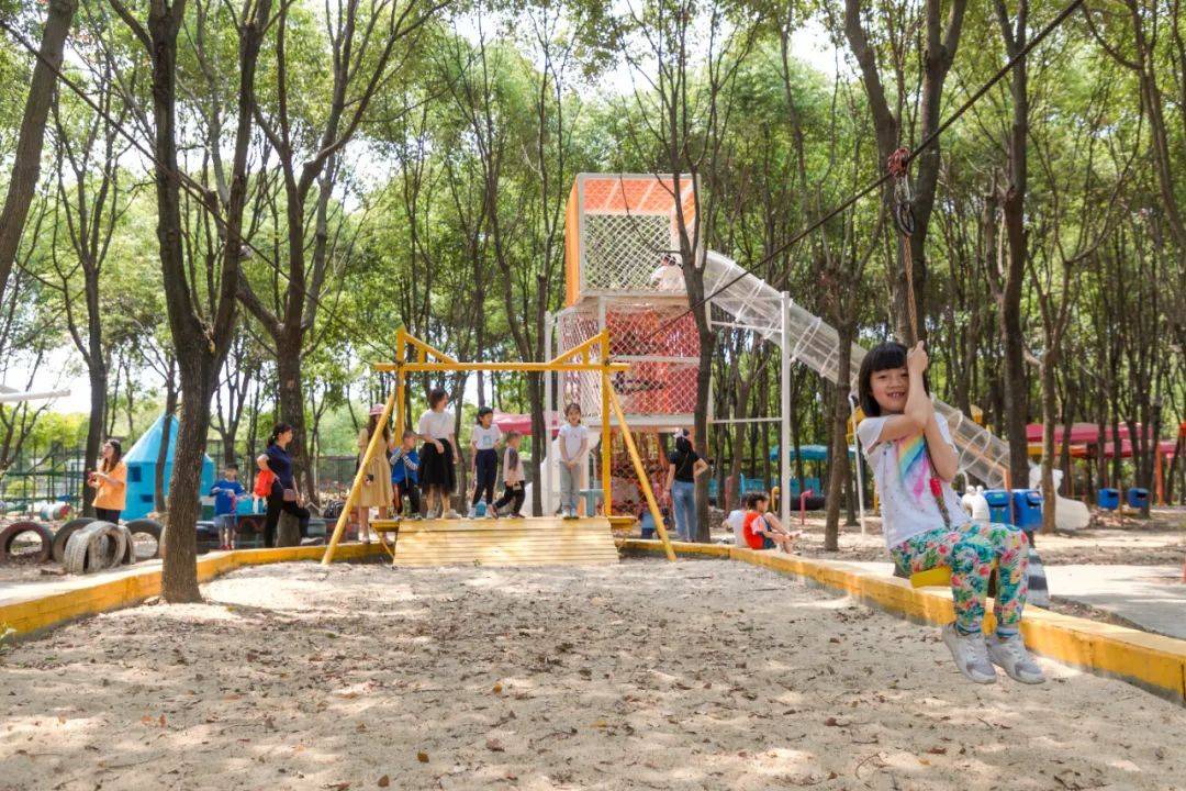 "莓"好时光,麻涌创艺蓝莓采摘季,等你来!_活动_旅游_文化