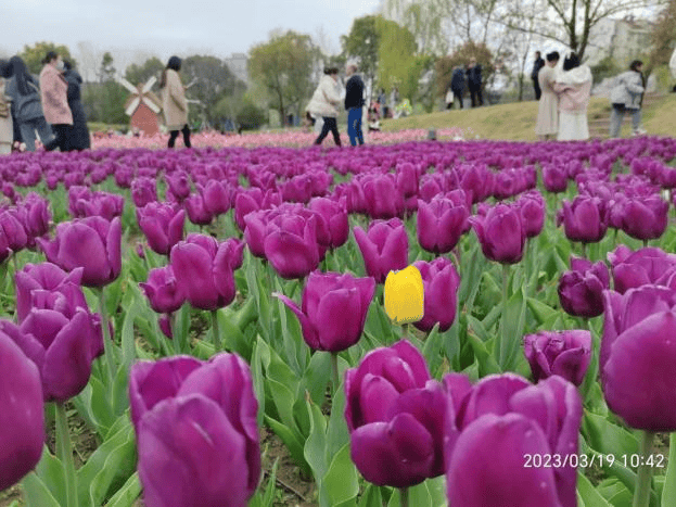 城市记忆湖州长岛公园