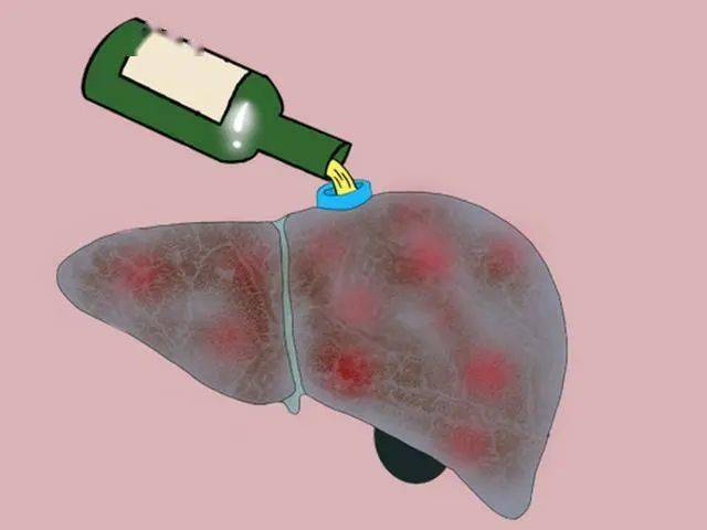 喝酒后,若身体出现4个现象,说明你不适合继续喝酒,建议早戒酒_酒精