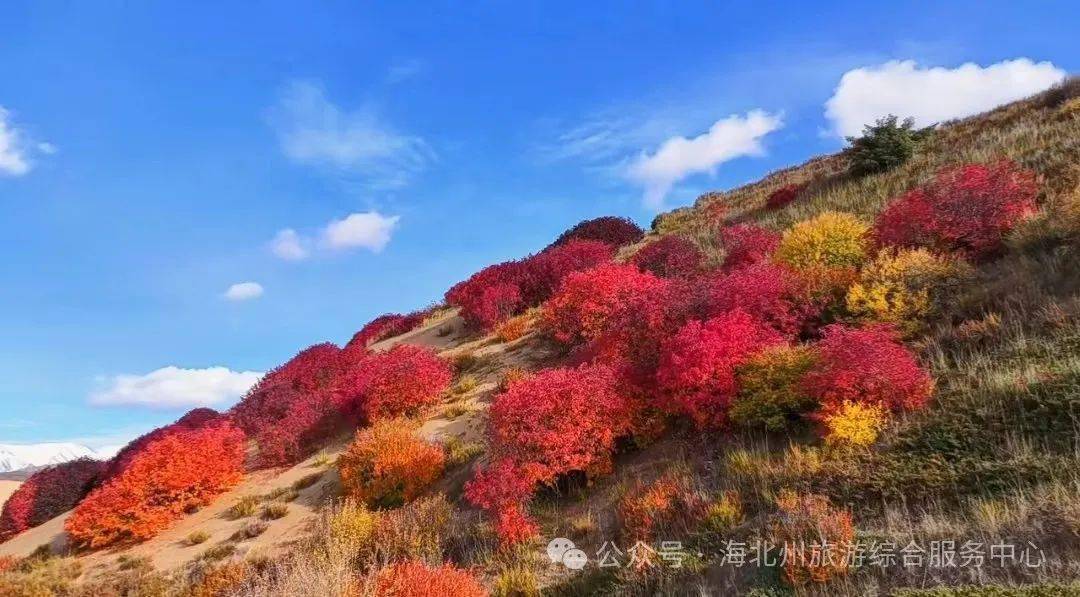 四季更迭梦幻海北何时最美