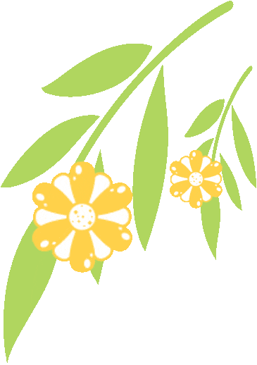 西淮浪漫诗意花香四溢