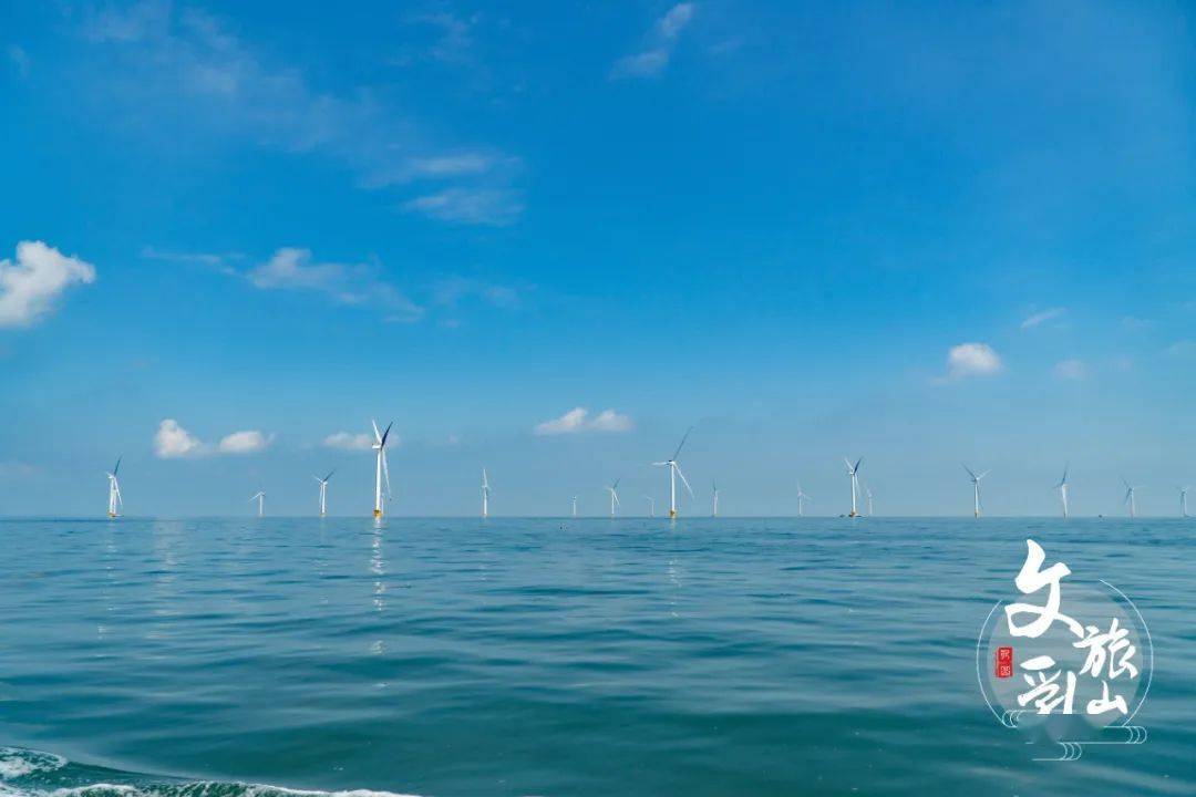 接下来的乳山是这样的春和景明浪漫至极