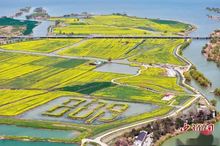 高邮湖上花海景区电话图片