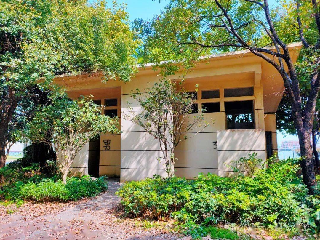 容桂东堤三路公厕卫生堪忧_米田共_管理_苍蝇