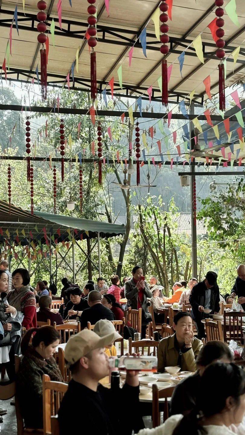 我发誓每年春天都要去爬一次峨眉山_纯阳殿_时候_ba