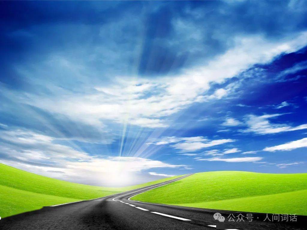 人间词话第428期