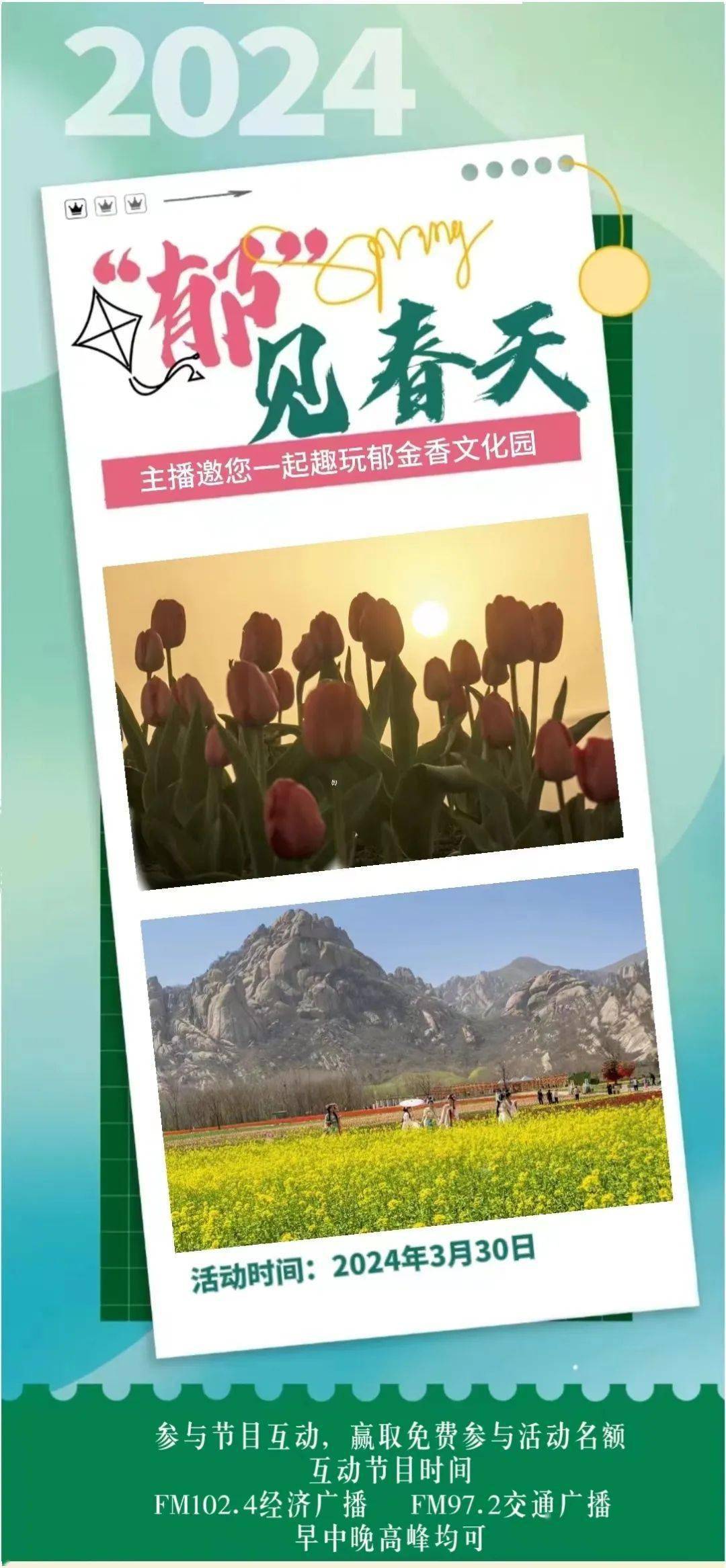 嵖岈山下郁金香盛开成海3.