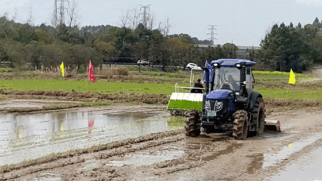 春耕新质生产力丨潍柴雷沃"良机良技" 助阵南方稻作区丰产增收_农机