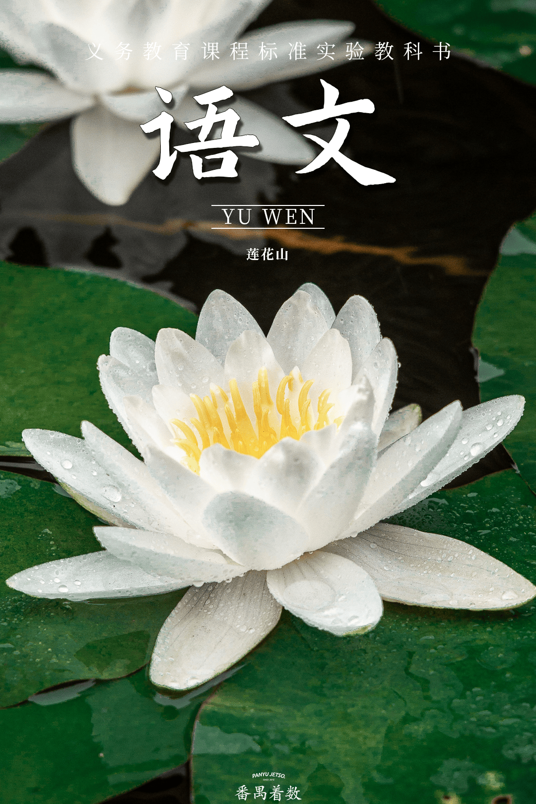    左右滑动查看更多 >>每年7月左右的莲花节,更是聚满了来一览荷花