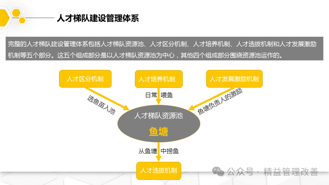 搭建人才梯队建设全流程