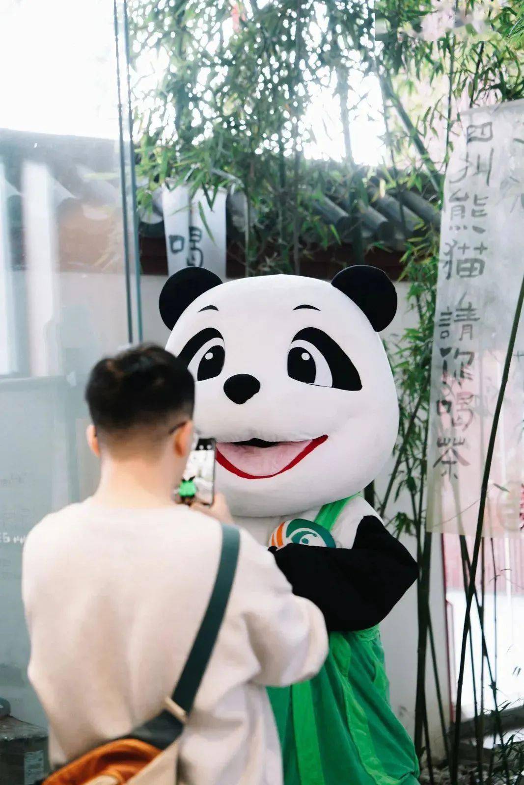 尚未从沧桑厚重的历史走出来,突然转头,一只185的熊猫就会系着围裙,像