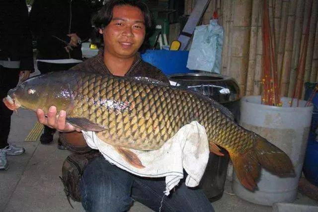 我的两次跑大鱼经历提醒钓鱼人别轻视一项重要的基本功