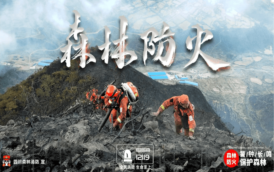 公益海报丨森林防火