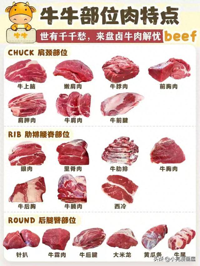 常见牛肉的区别及特点