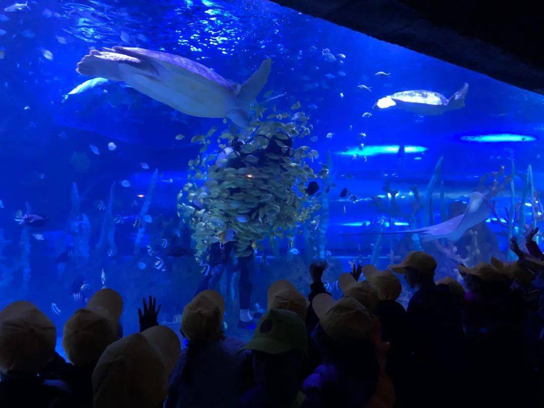 鄂尔多斯动物园海洋馆图片