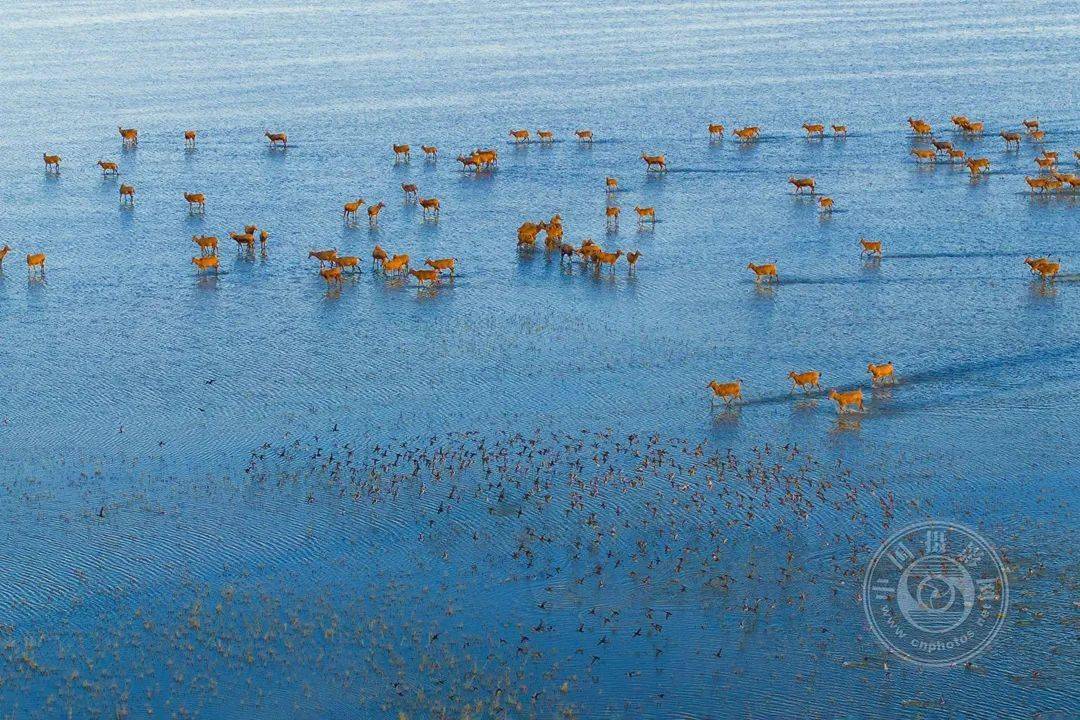 2023第四届鸟瞰视界全国航拍大赛投稿作品精选八