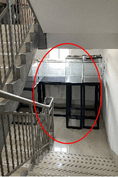请拨打这个电话→_建筑物_疏散_防火墙