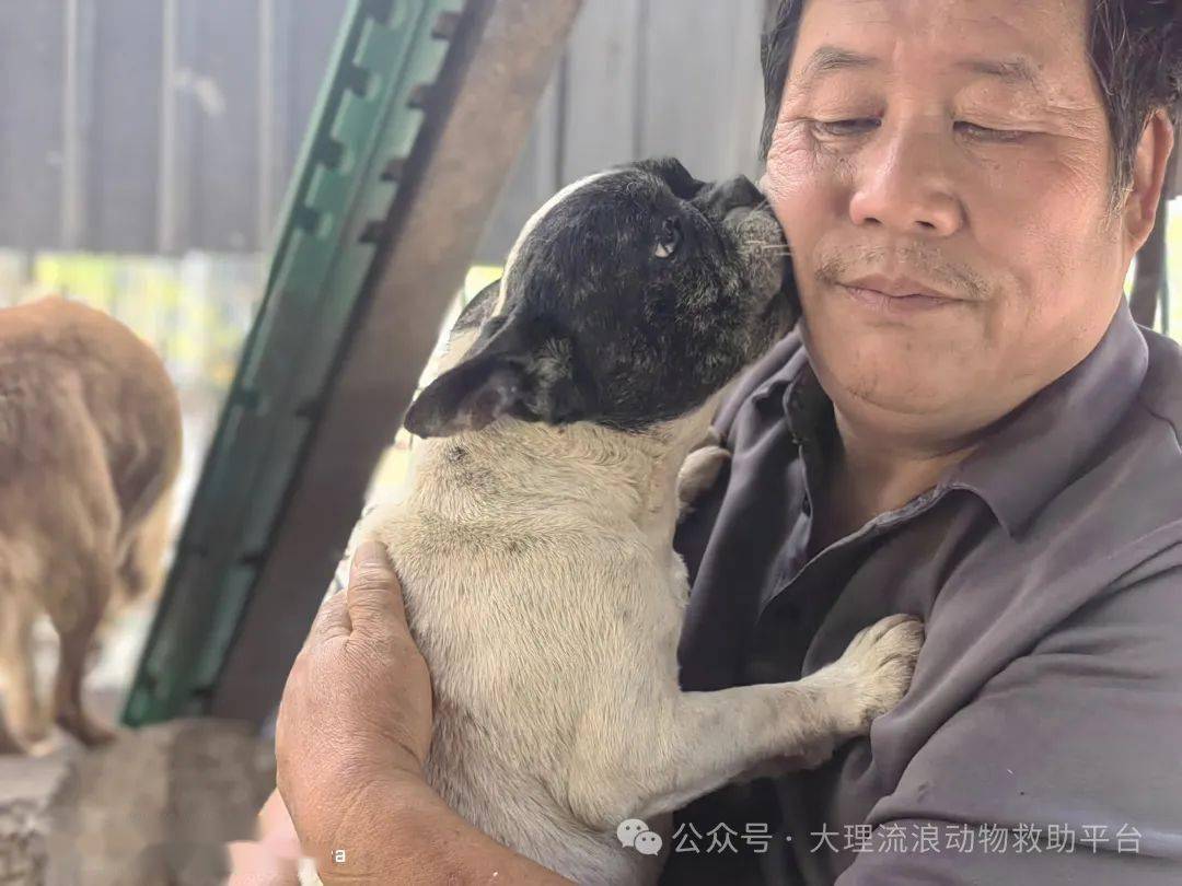 疲惫而乏味的生活下依然在坚持着往前走