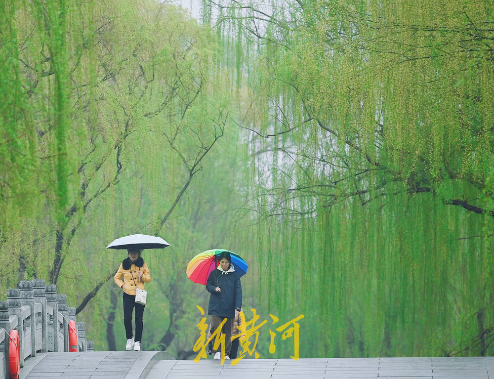 雨中漫步大明湖